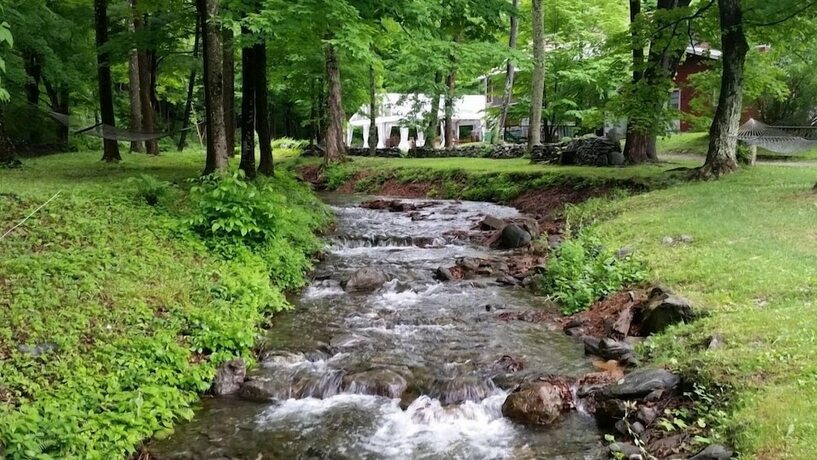 Imagen general del Hotel Race Brook Lodge. Foto 5