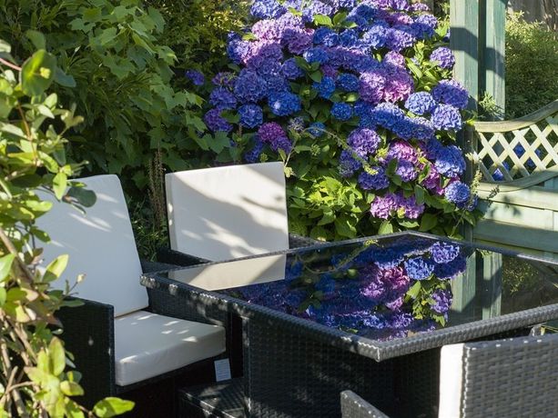 Imagen de los exteriores del Hotel Racehorse Inn. Foto 16