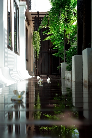 Imagen de los exteriores del Hotel Rachamankha Thai Villa. Foto 10