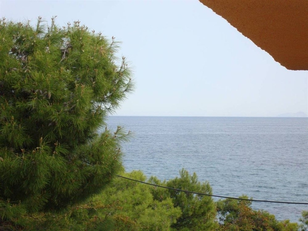 Imagen general del Hotel Rachel. Foto 2