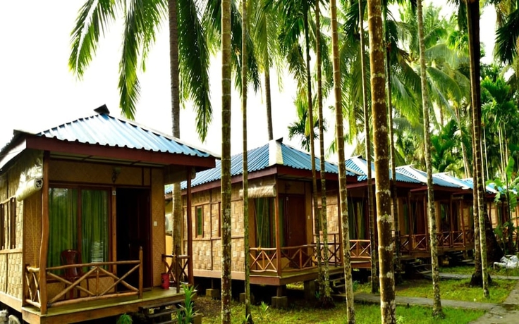 Imagen general del Hotel Radhakrishna Resort. Foto 9