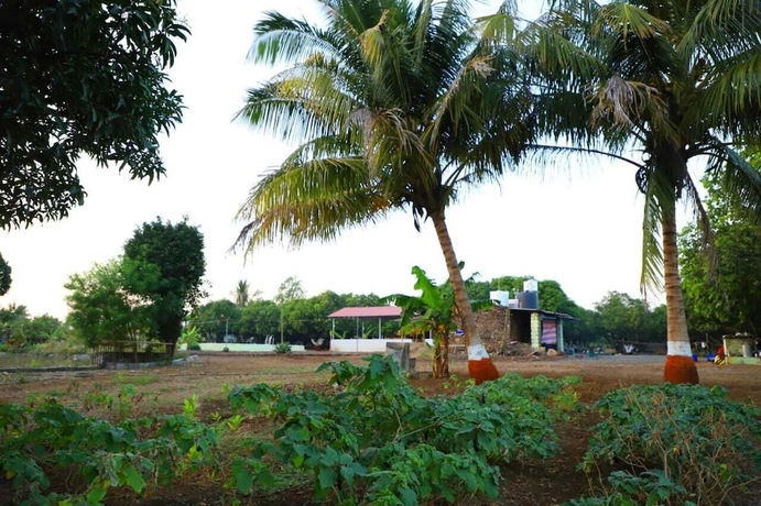 Imagen general del Hotel Radhe Farm (200mtr from Devaliya Park). Foto 2