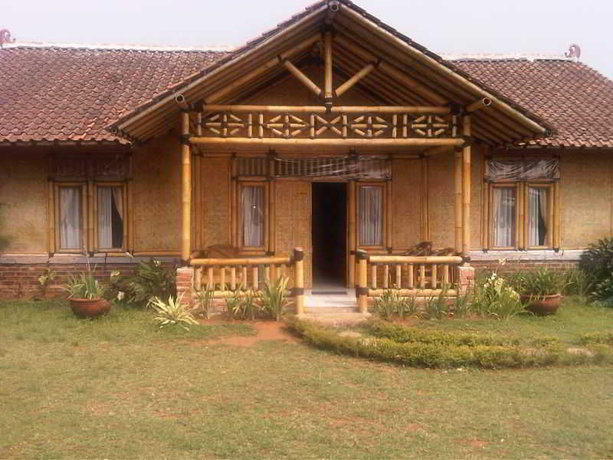 Imagen general del Hotel Radiant Bamboo. Foto 2