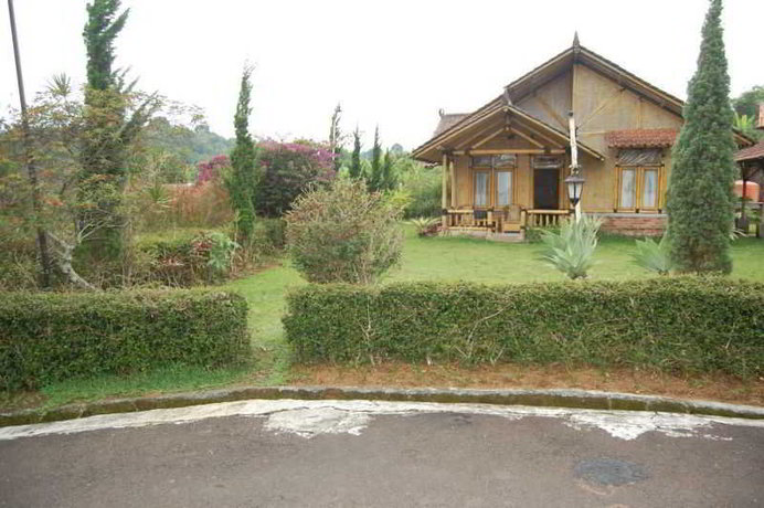 Imagen general del Hotel Radiant Bamboo. Foto 3