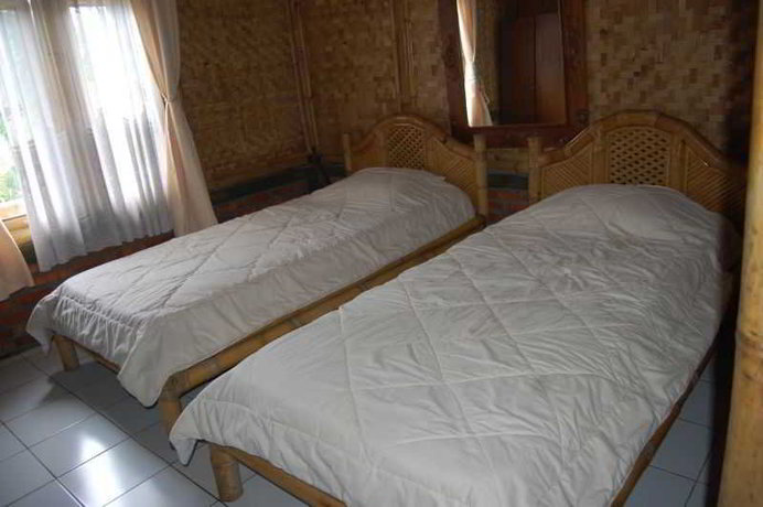 Imagen de la habitación del Hotel Radiant Bamboo. Foto 6