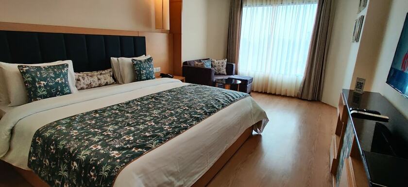 Imagen general del Hotel Radiant Globus. Foto 1