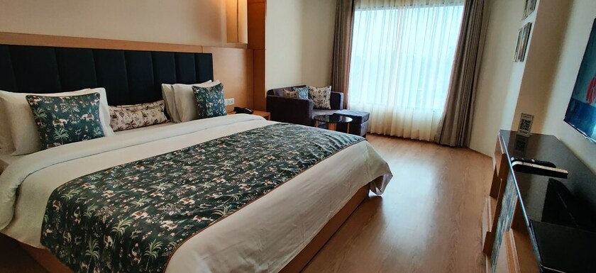 Imagen de la habitación del Hotel Radiant Globus. Foto 23