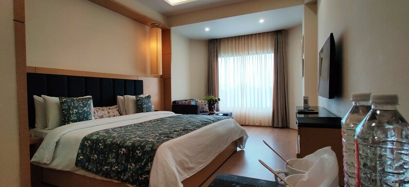 Imagen de la habitación del Hotel Radiant Globus. Foto 26
