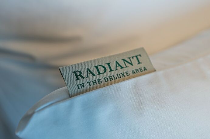 Imagen general del Hotel Radiant Nampo. Foto 11