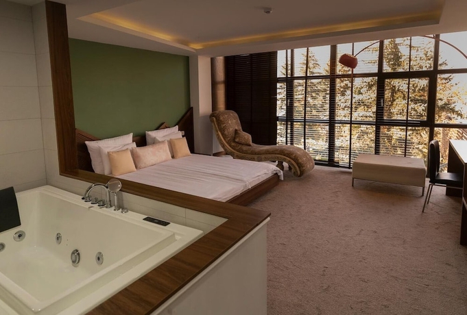 Imagen de la habitación del Hotel Radika Rezort. Foto 7