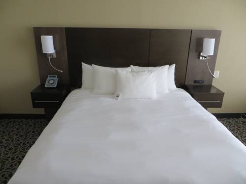 Imagen de la habitación del Hotel Radisson Atlanta Northwest. Foto 9