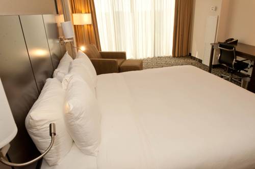 Imagen de la habitación del Hotel Radisson Atlanta Northwest. Foto 15