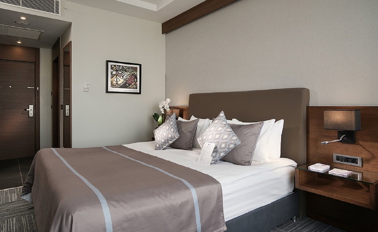Imagen de la habitación del Hotel Radisson Blu Ankara Cankaya. Foto 15