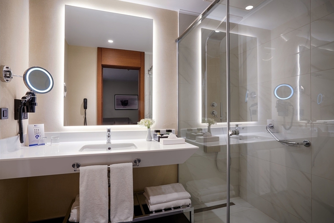 Imagen de la habitación del Hotel Radisson Blu Ankara Cankaya. Foto 16