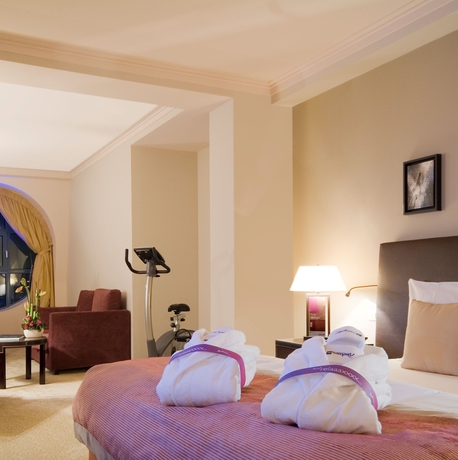 Imagen de la habitación del Hotel Radisson Blu Astrid , Antwerp. Foto 10