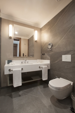 Imagen de la habitación del Hotel Radisson Blu Diyarbakir. Foto 6