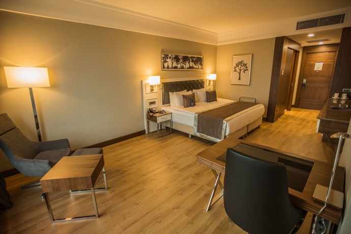 Imagen de la habitación del Hotel Radisson Blu Diyarbakir. Foto 10