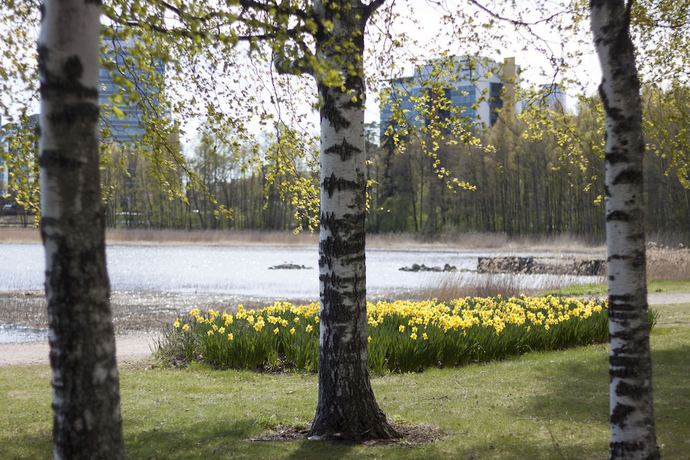 Imagen de la habitación del Hotel Radisson Blu , Espoo. Foto 12