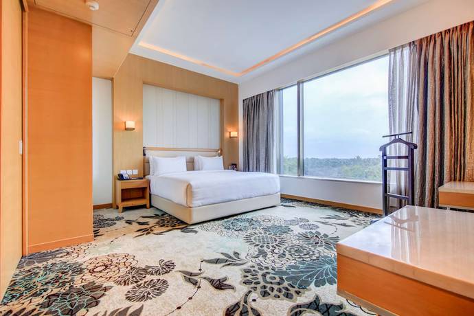 Imagen de la habitación del Hotel Radisson Blu Gorakhpur. Foto 4