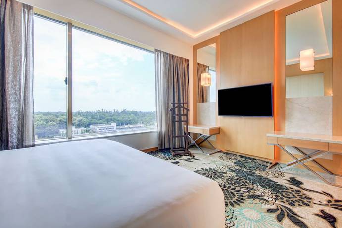 Imagen de la habitación del Hotel Radisson Blu Gorakhpur. Foto 11
