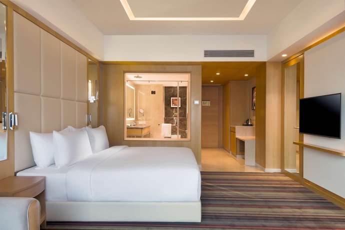 Imagen de la habitación del Hotel Radisson Blu Gorakhpur. Foto 16
