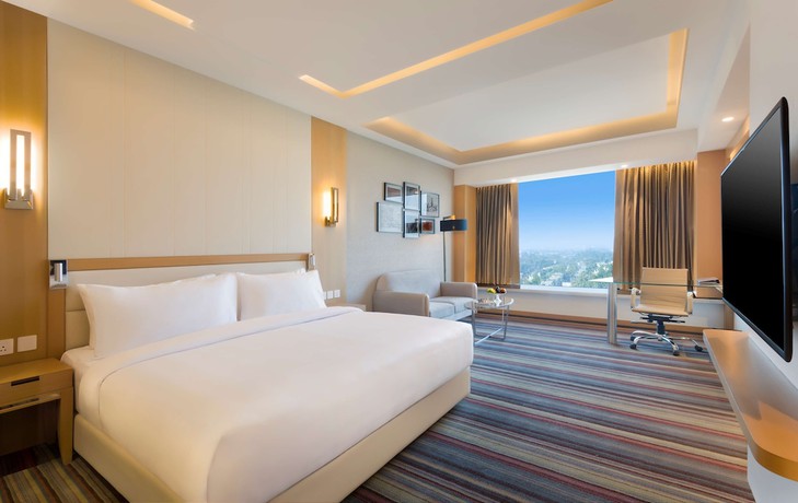 Imagen de la habitación del Hotel Radisson Blu Gorakhpur. Foto 17