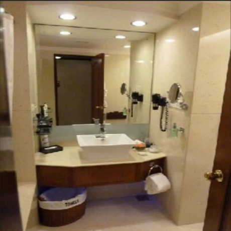 Imagen de la habitación del Hotel Radisson Blu Grt Chennai. Foto 6