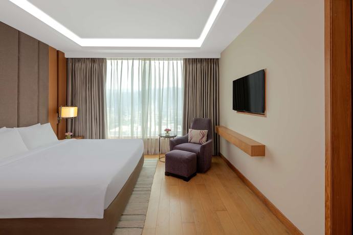 Imagen de la habitación del Hotel Radisson Blu Guwahati. Foto 8