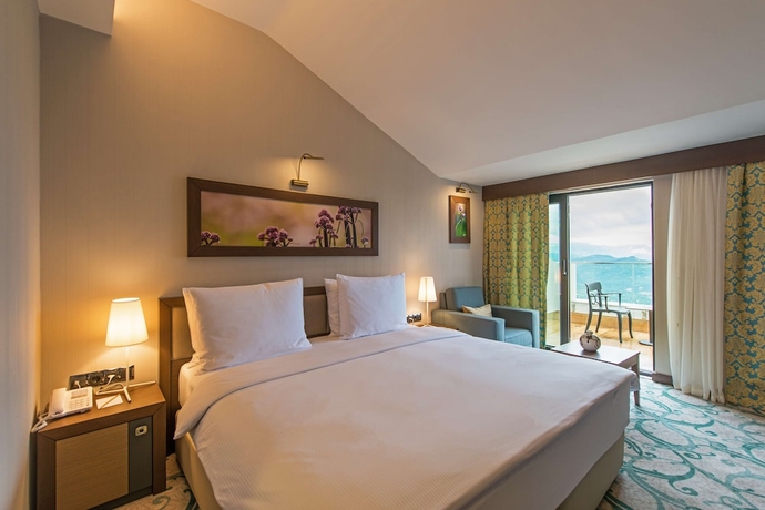 Imagen de la habitación del Hotel Radisson Blu Hotel, Ordu. Foto 5