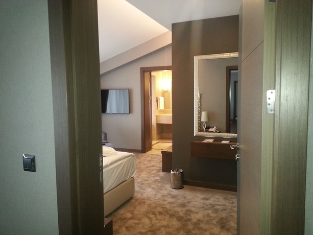 Imagen de la habitación del Hotel Radisson Blu Hotel, Ordu. Foto 8