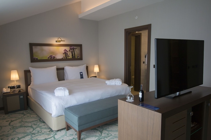 Imagen de la habitación del Hotel Radisson Blu Hotel, Ordu. Foto 10