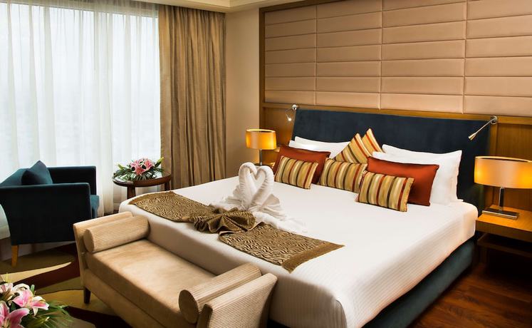 Imagen de la habitación del Hotel Radisson Blu Indore. Foto 8