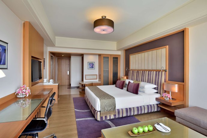 Imagen de la habitación del Hotel Radisson Blu Indore. Foto 10