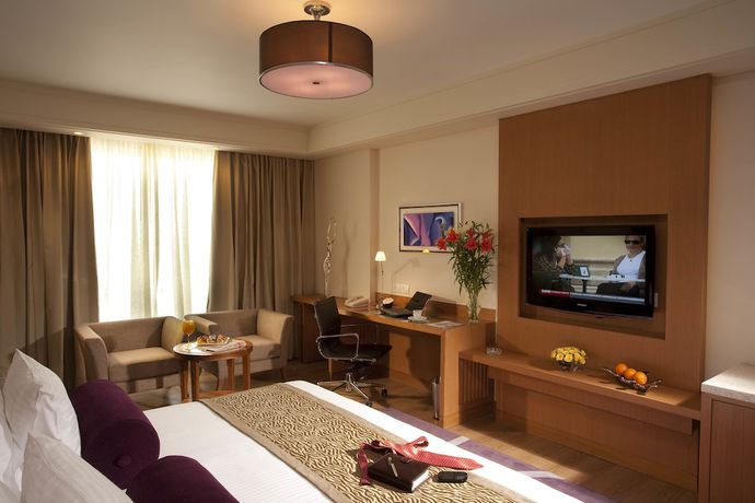 Imagen de la habitación del Hotel Radisson Blu Indore. Foto 14