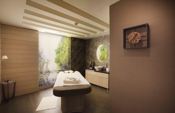 Imagen de los interiores del Hotel Radisson Blu , Istanbul Sisli. Foto 9