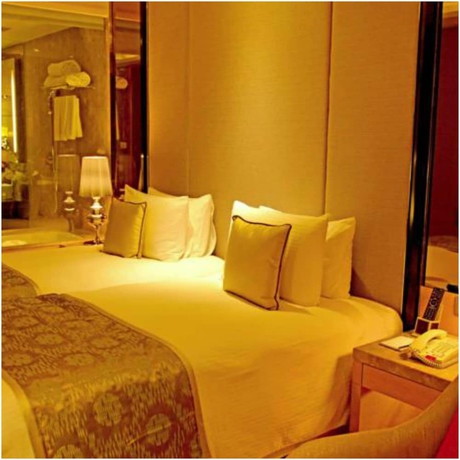 Imagen de la habitación del Hotel Radisson Blu Jaipur. Foto 11