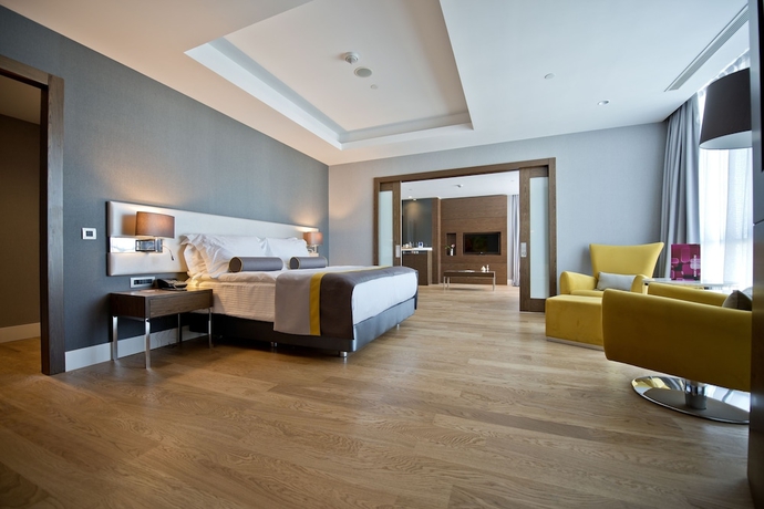 Imagen de la habitación del Hotel Radisson Blu , Kayseri. Foto 9
