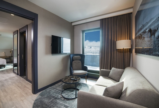 Imagen de la habitación del Hotel Radisson Blu, Mount Erciyes. Foto 8