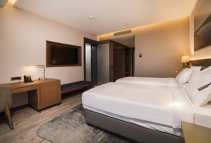 Imagen de la habitación del Hotel Radisson Blu, Mount Erciyes. Foto 9