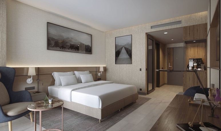 Imagen de la habitación del Hotel Radisson Blu, Mount Erciyes. Foto 10