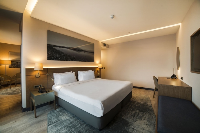 Imagen de la habitación del Hotel Radisson Blu, Mount Erciyes. Foto 15