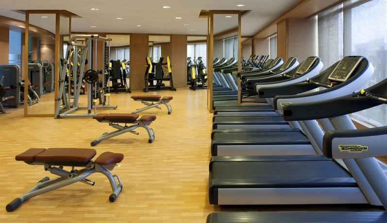 Imagen de los interiores del Hotel Radisson Blu New Delhi Dwarka. Foto 14