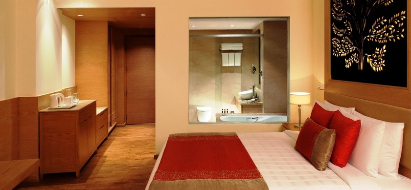 Imagen de la habitación del Hotel Radisson Blu New Delhi Dwarka. Foto 9