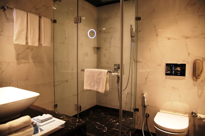 Imagen de la habitación del Hotel Radisson Blu New Delhi Paschim Vihar. Foto 4