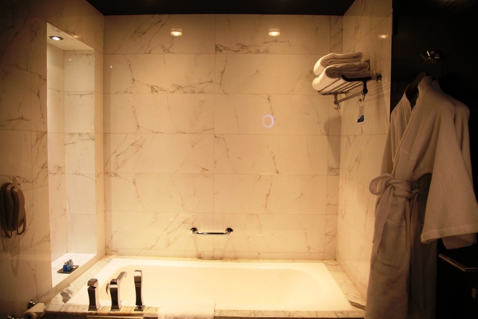 Imagen de la habitación del Hotel Radisson Blu New Delhi Paschim Vihar. Foto 6