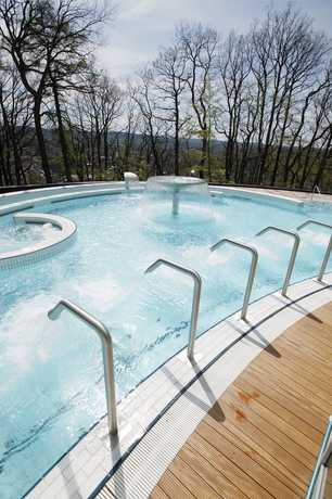 Imagen de los exteriores del Hotel Radisson Blu Palace , Spa. Foto 11