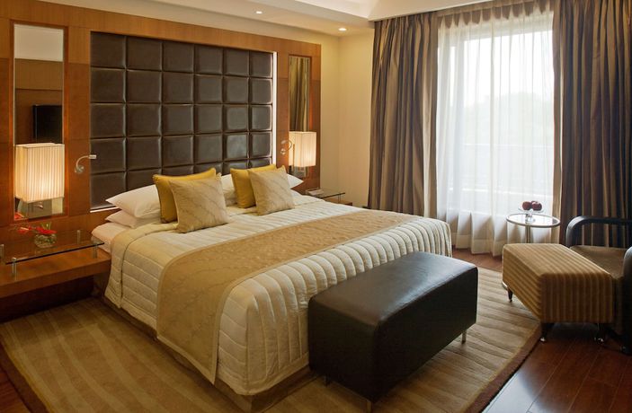 Imagen de la habitación del Hotel Radisson Blu Plaza Delhi Airport. Foto 3