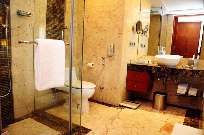 Imagen de la habitación del Hotel Radisson Blu Plaza Delhi Airport. Foto 6