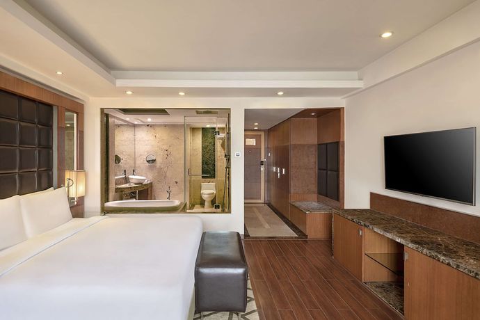 Imagen de la habitación del Hotel Radisson Blu Plaza Delhi Airport. Foto 8