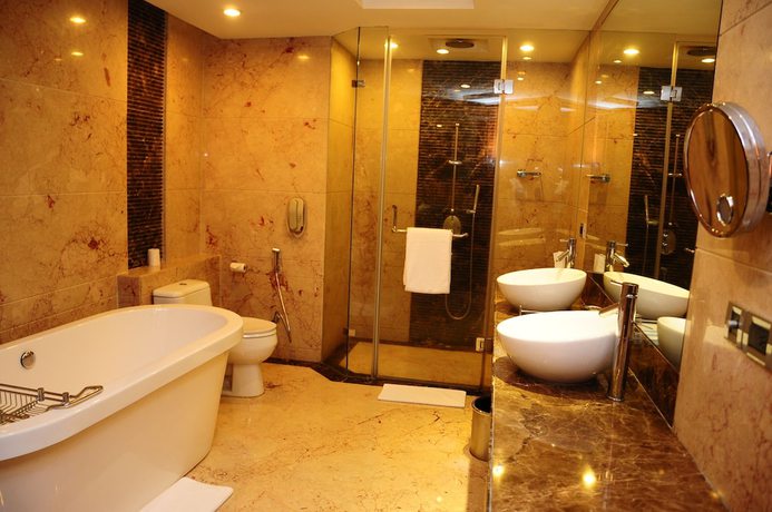 Imagen de la habitación del Hotel Radisson Blu Plaza Delhi Airport. Foto 12